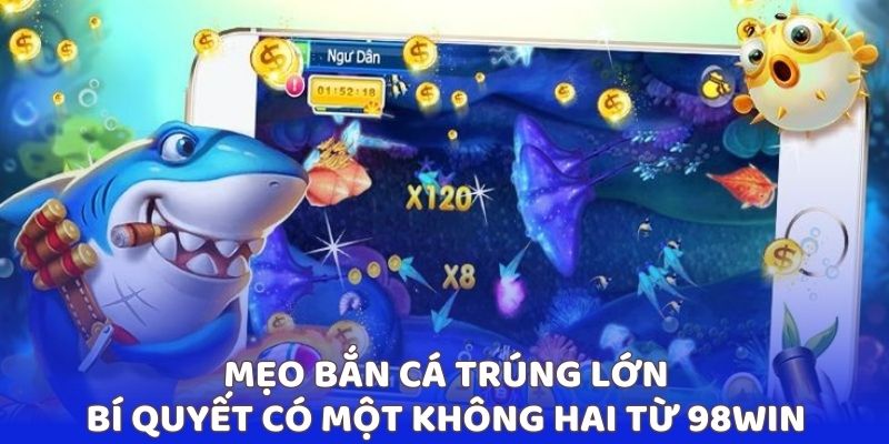 meo-ban-ca-trung-lon-1