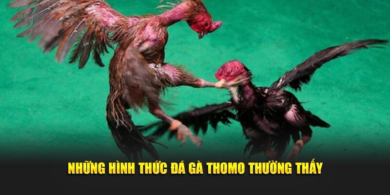 da-ga-thomo-4